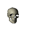 skull.gif (40167 bytes)